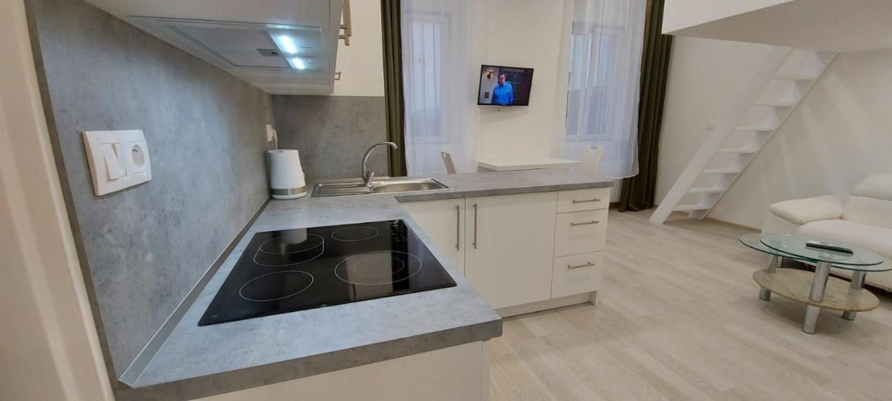 Apartment Krale Jiriho Карловы Вары Экстерьер фото